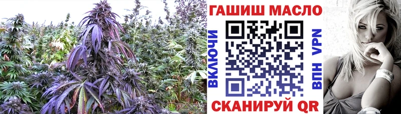 где купить наркоту  Рыльск  ТГК вейп 